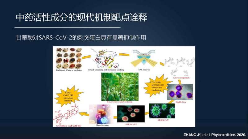 中药药理研究